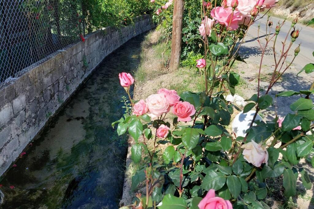 La Huerta Del Castillo Con Su Caz De Agua - Enjoy Life & Relax Castillo de Locubín エクステリア 写真