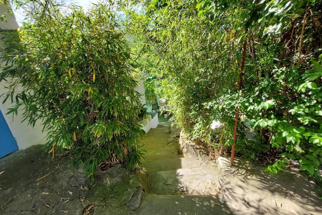 La Huerta Del Castillo Con Su Caz De Agua - Enjoy Life & Relax Castillo de Locubín エクステリア 写真