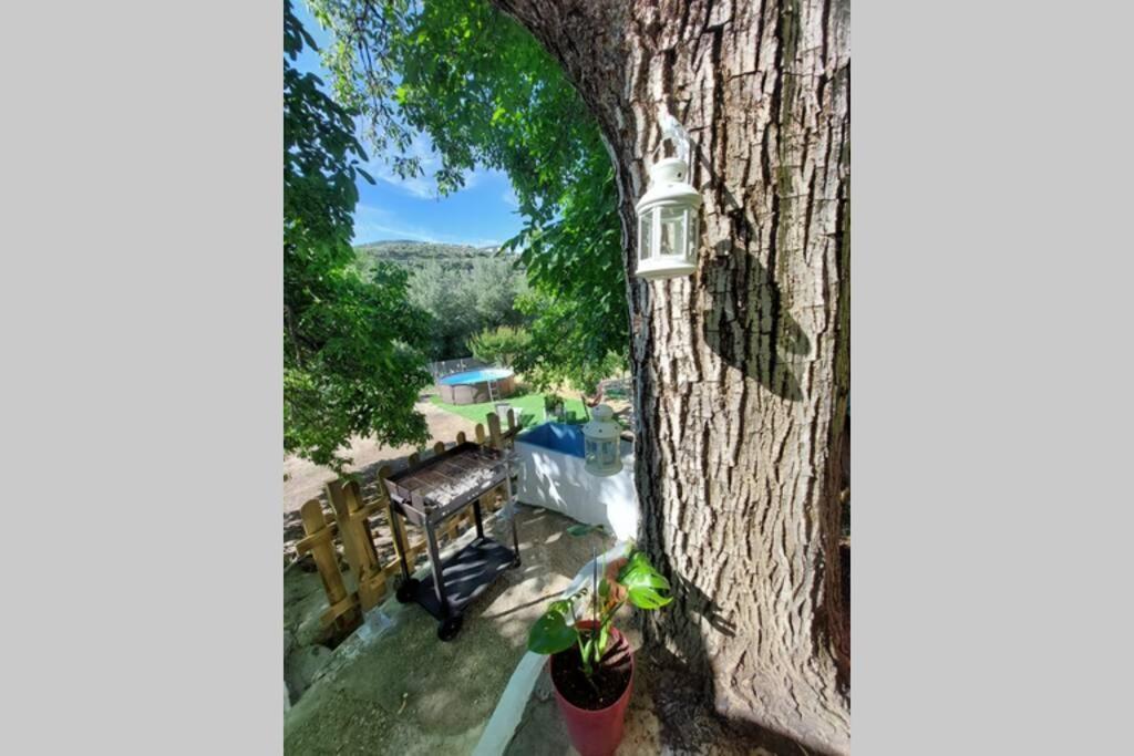 La Huerta Del Castillo Con Su Caz De Agua - Enjoy Life & Relax Castillo de Locubín エクステリア 写真