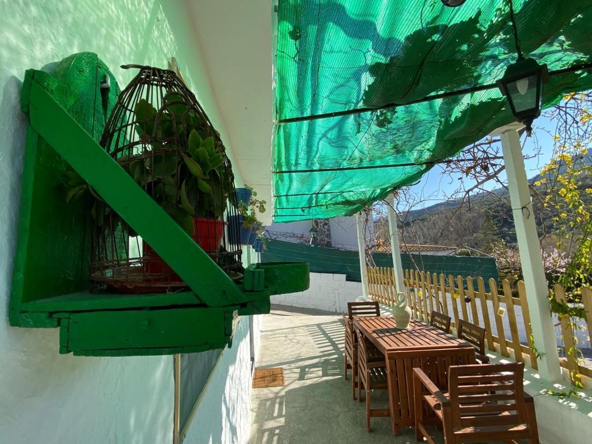 La Huerta Del Castillo Con Su Caz De Agua - Enjoy Life & Relax Castillo de Locubín エクステリア 写真